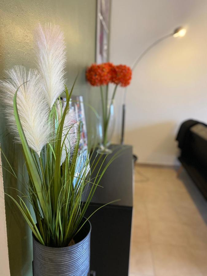 Appartements Vue Mer Сен-Флоран Екстериор снимка